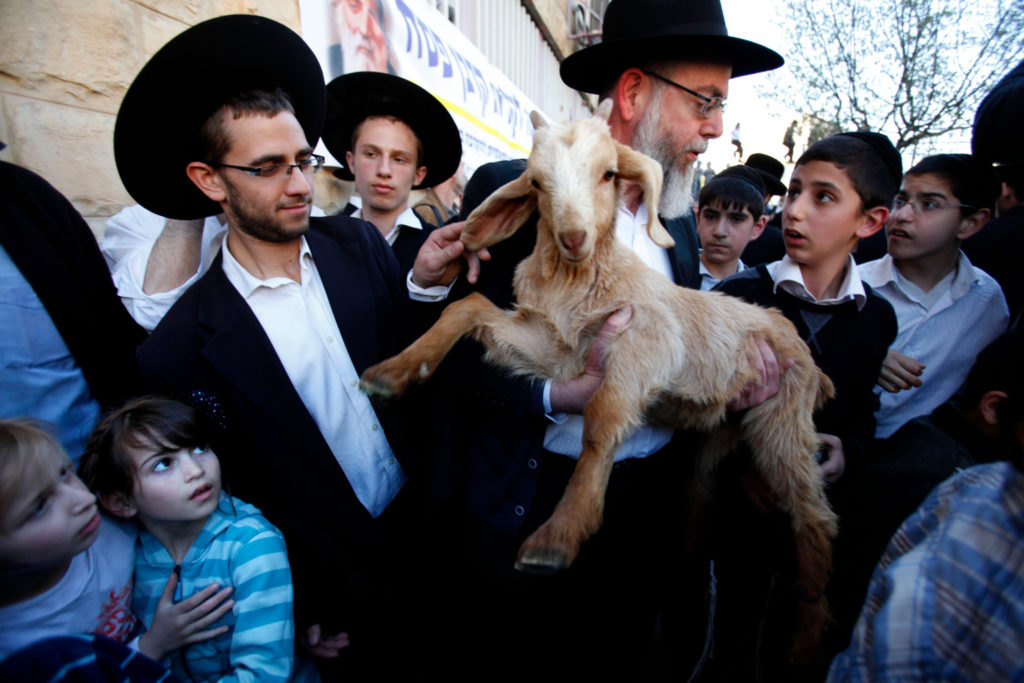 Une image contenant personne, mammifère, chien, foule

Description générée automatiquement