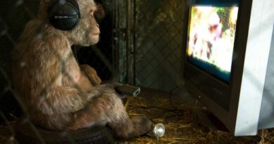 Monkey_Watching_TV
