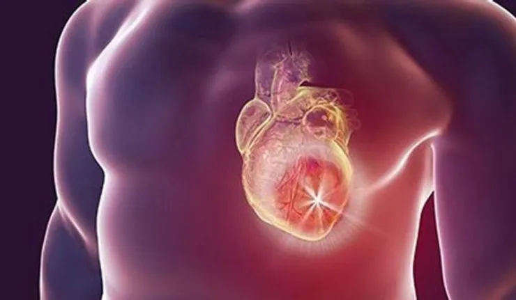 coeur-vaccin-
